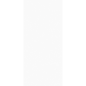 REVESTIMIENTO CECAFI 32 X 57 BRANCO NEVE PLUS (2.03 M2 X CJ)