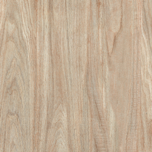 PISO CERAL 43 X 43 COQUE (2,43 M2 X CJ)